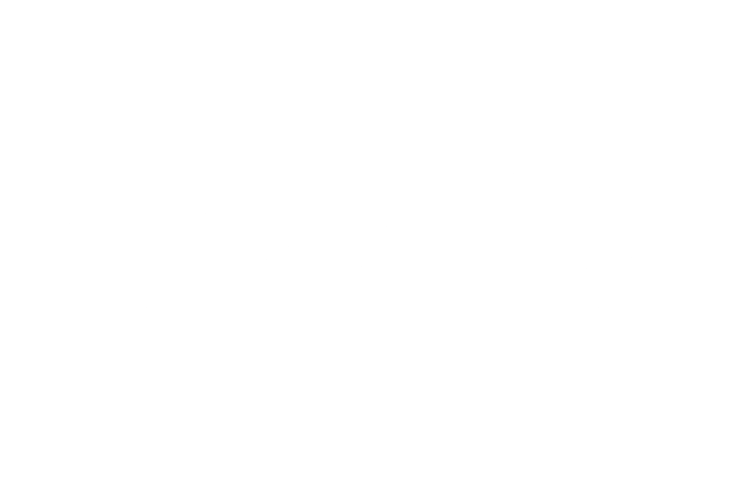 PUTSCH Agency logo